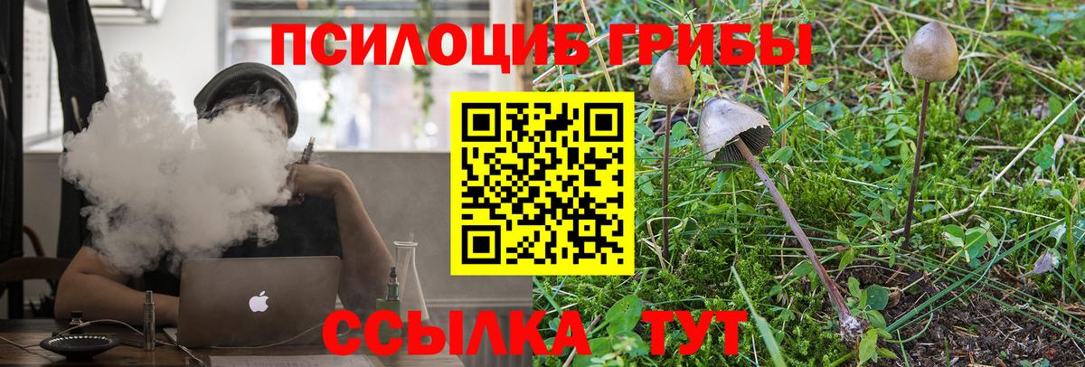 Рыбинск  сколько стоит  Вход с VPN  Галлюциногенные грибы ЛСД 