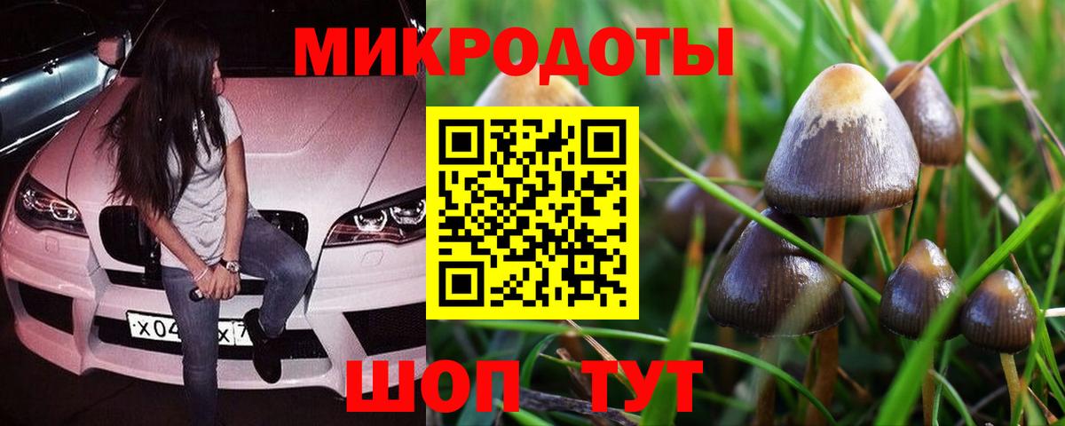 Псилоцибиновые грибы MAGIC MUSHROOMS Рыбинск
